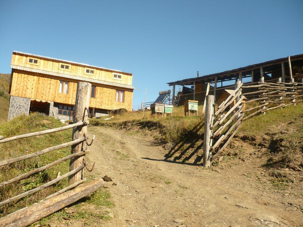Guesthouse Javakhe Omalo 외부 사진